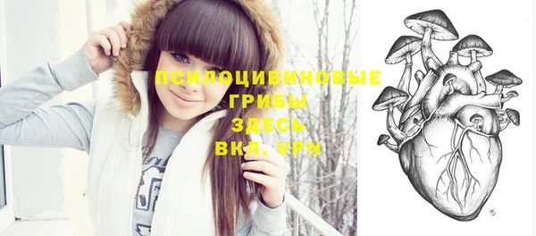 герыч Козловка