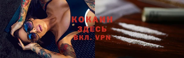 индика Кодинск