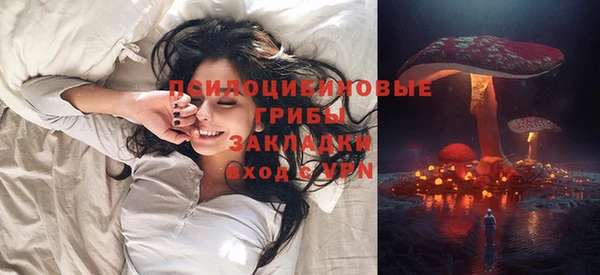 индика Кодинск