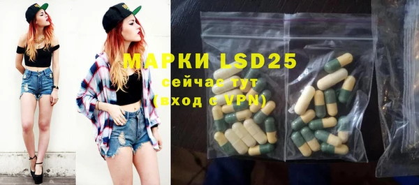 индика Кодинск