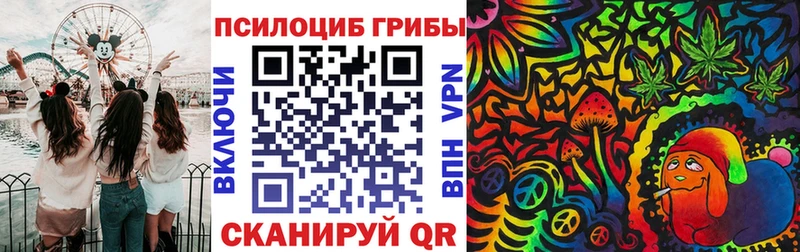 Купить  Сосновый Бор  Галлюциногенные грибы Psilocybe 